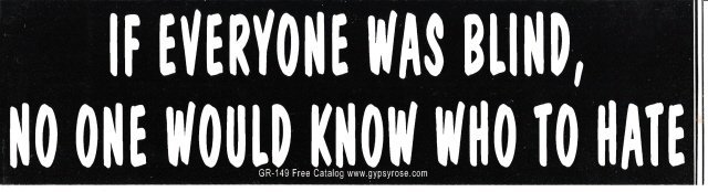 IF EVERYONE WAS BLIND, NO NONE WOULD KNOW WHO TO HATE Bumper Sticker