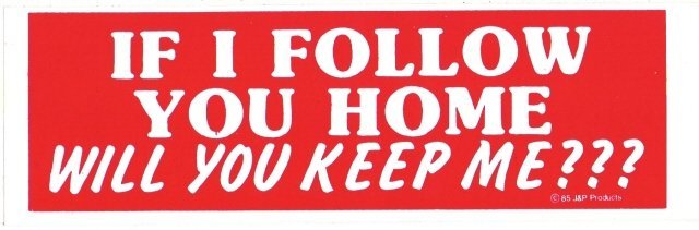 IF I FOLLOW YOU HOME WILL YOU KEEP ME? Bumper Sticker