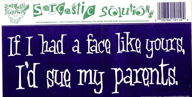 If I had a face like yours, I'd slap my parents. Bumper Sticker