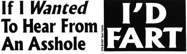 If I Wanted To Hear From An Asshole I'D FART Bumper Sticker