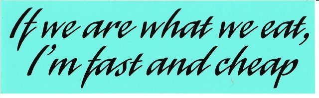 If we are what we eat, I'm fast and cheap Bumper Sticker