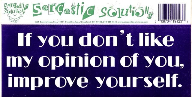 If you don't like my opinion of you, improve yourself. Bumper Sticker