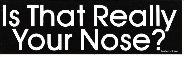 Is That Really Your Nose? Bumper Sticker