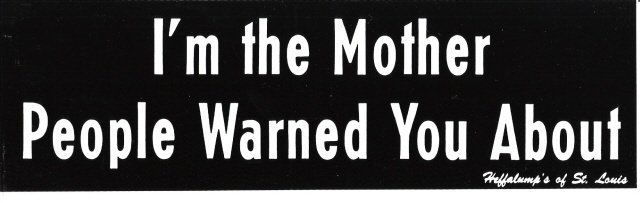 I'm the Mother People Warned You About Bumper Sticker