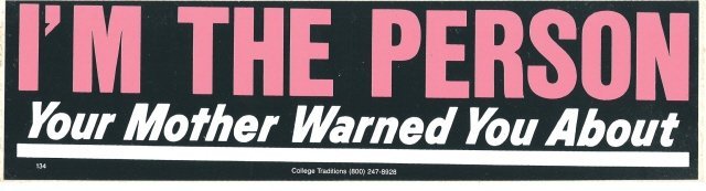 I'M THE PERSON Your Mother Warned You About Bumper Sticker