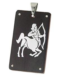 Desire RSP2095 Steel Pendant