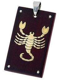 Desire RSP2110 Steel Pendant