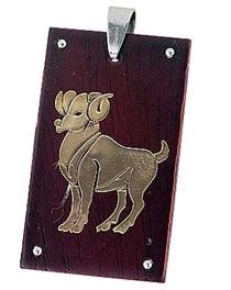 Desire RSP2114 Steel Pendant
