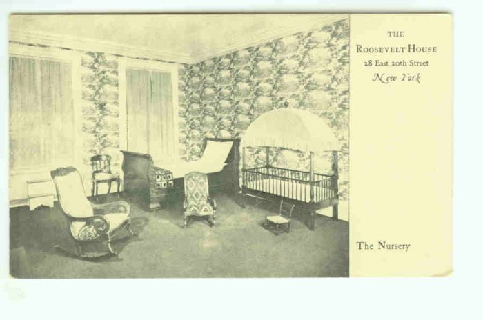 73654 NY New York City Vintage Postcard Theodore Roosevelt Birthplace