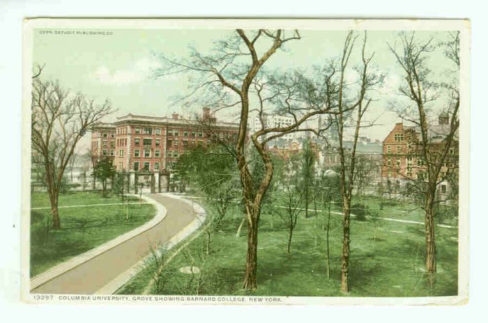 NY New York City Vintage Postcard Columbia University Grove Barnard College 1911