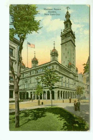 73681 NY New York City Vintage Postcard Madison Square Garden