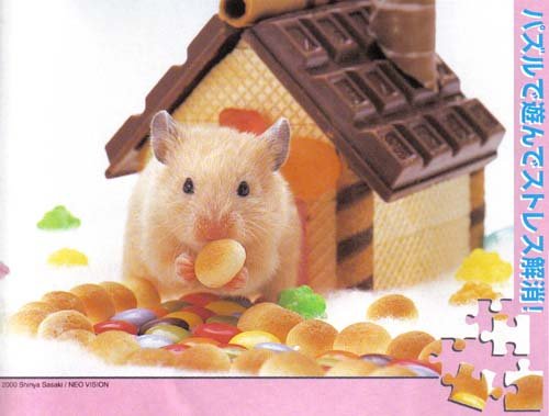 Nicole the gingerbread hamster (108 Pieces)