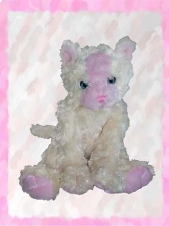 Unstuffed animal skins cats