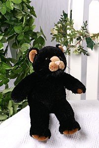 unstuffed animal skins jungle cats