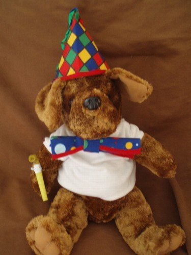 puppy birthday party for 6