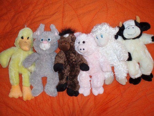 Barnyard party package for 6