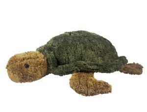 Murtle