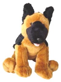 Sarge