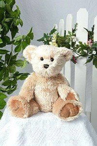 Light Honey Bear