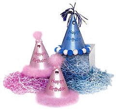 Happy Birthday Boutique Party Hat