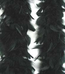 Black Feather BOA