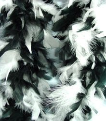 Black And White Feather BOA