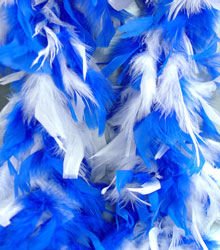 Blue and White Feather Boa