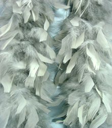 Grey Feather BOA