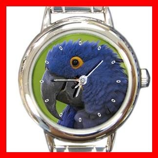 Hyacinth Macaw Bird Italian Charm Wrist Watch 046