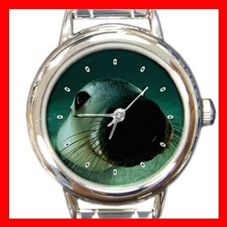 Australian Sea Lion Italian Charm Wrist Watch 143