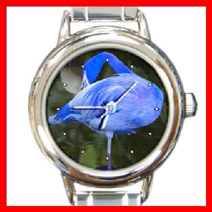 Rare Blue Flamingo Bird Round Italian Charm Wrist Watch 216