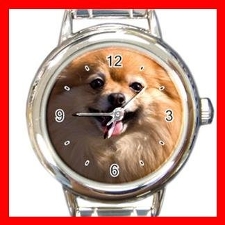 Pomeranian DOG Pet Animal Round Italian Charm Wrist Watch 314