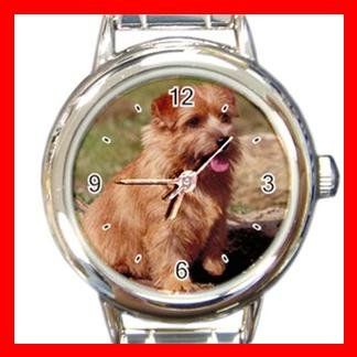 Norfolk Terrier DOG Pet Animal Round Italian Charm Wrist Watch 321