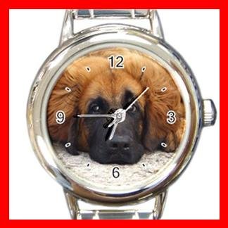 Leonberger DOG Pet Animal Round Italian Charm Wrist Watch 326