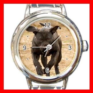 Fila Brasileiro Dog Animal Round Italian Charm Wrist Watch 356