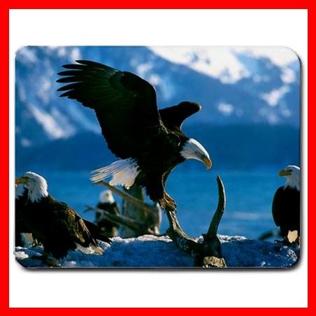 Eagle Bird Flying Animal Fan Mouse Pad MousePad Mat 011