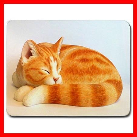Ginger Cat Sleeping Pet Fun Mouse Pad MousePad Mat 036