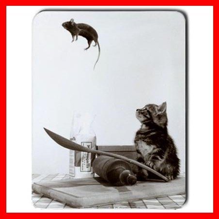Cat And Mouse Play Animal Mouse Pad MousePad Mat 042