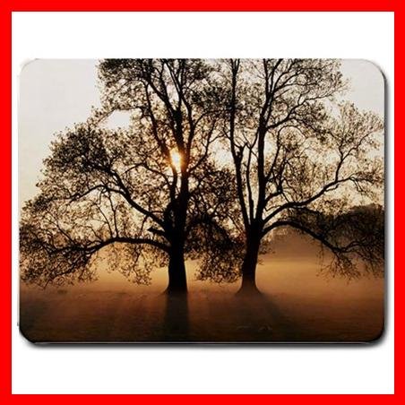 Tree Sunshine Nature Art Fun Mouse Pad MousePad Mat 047