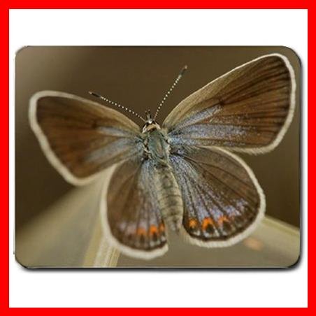Butterfly Art Leisure Hobby Mouse Pad MousePad Mat 059
