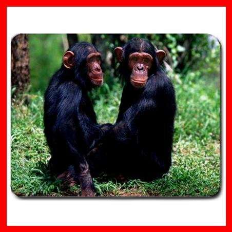 Chimpanzee Ape Animal Hobby Mouse Pad MousePad Mat 061