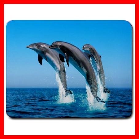 Dolphins Leaping Aquatic Fun Mouse Pad MousePad Mat 087