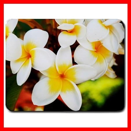 Frangipani Flowers Plant Mouse Pad MousePad Mat 093