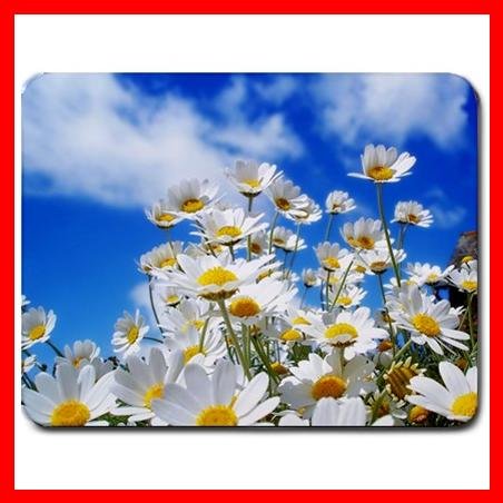 Spring Daisies Flower Hobby Mouse Pad MousePad Mat 100