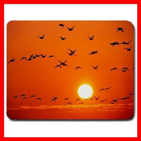 Orange Birds Rosing Sunset Fly Mouse Pad MousePad Mat 107