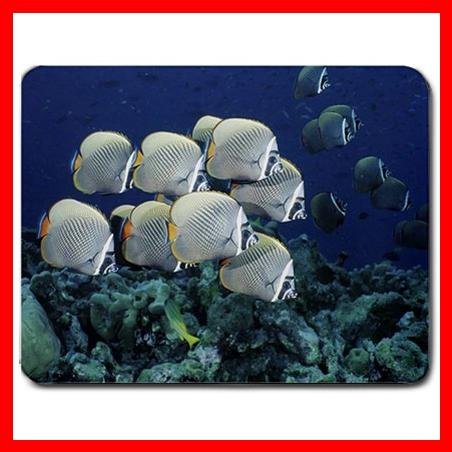 School of Collared Butterflyfish Thailand Fish Mouse Pad MousePad Mat 114