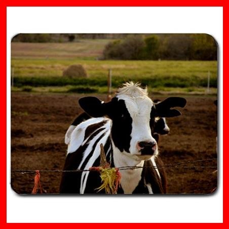 Dairy Calf Cattle Animal Fun Mouse Pad MousePad Mat 119