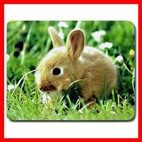 Bunny Rabbit Cute Animal Fun Mouse Pad MousePad Mat 122