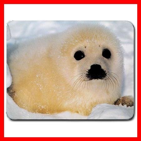 Baby Seal Wildlife Animal Mouse Pad MousePad Mat 125