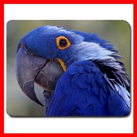 Amazon Parrot Bird Mouse Pad MousePad Mat 129
